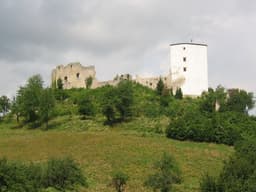 Konjice Castle