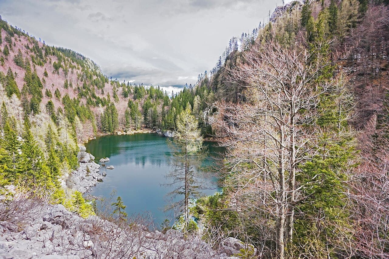 Črno jezero