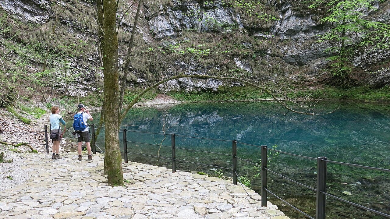 Divje jezero