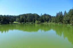 Bloško jezero