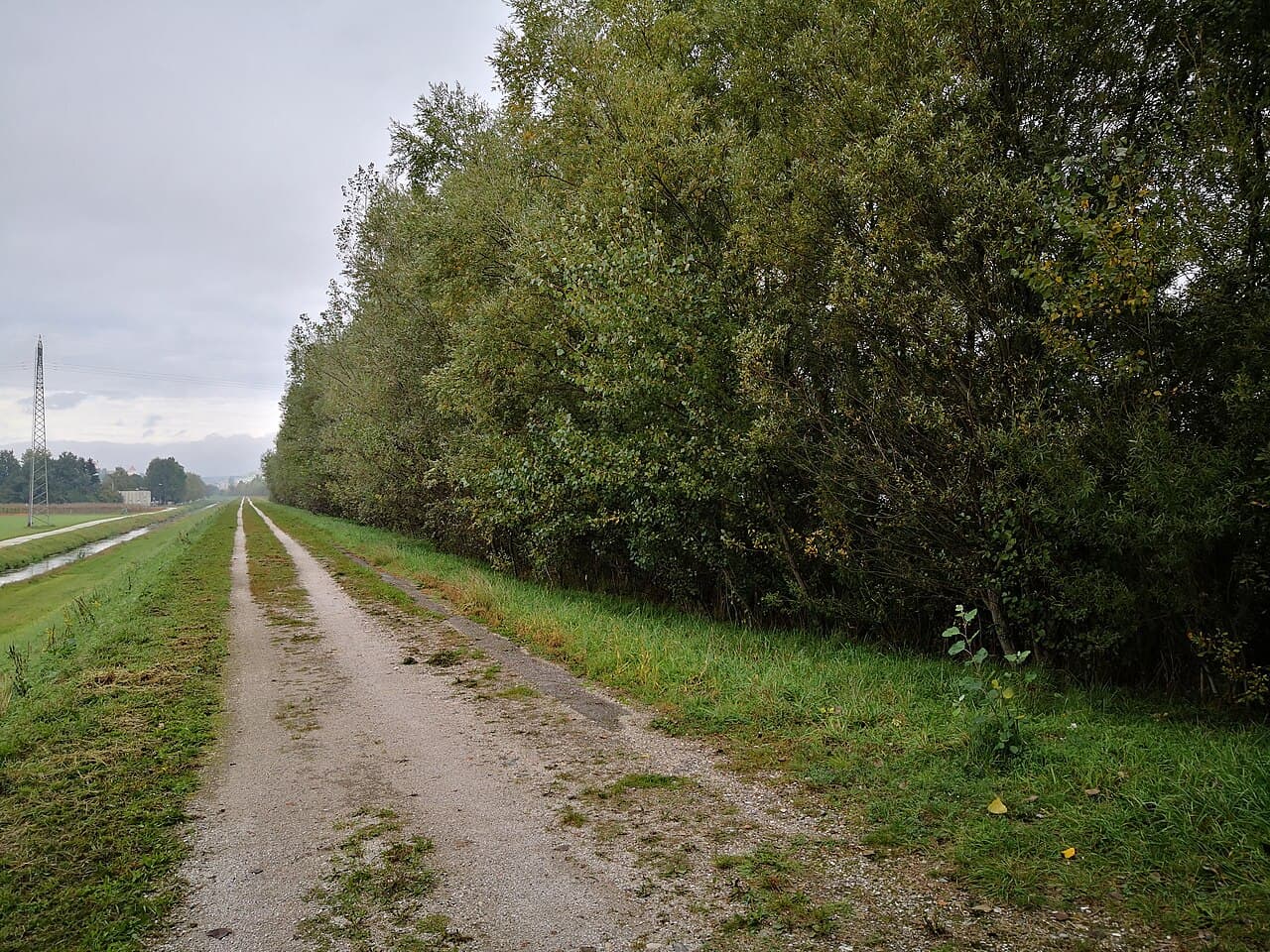 Ptujsko jezero