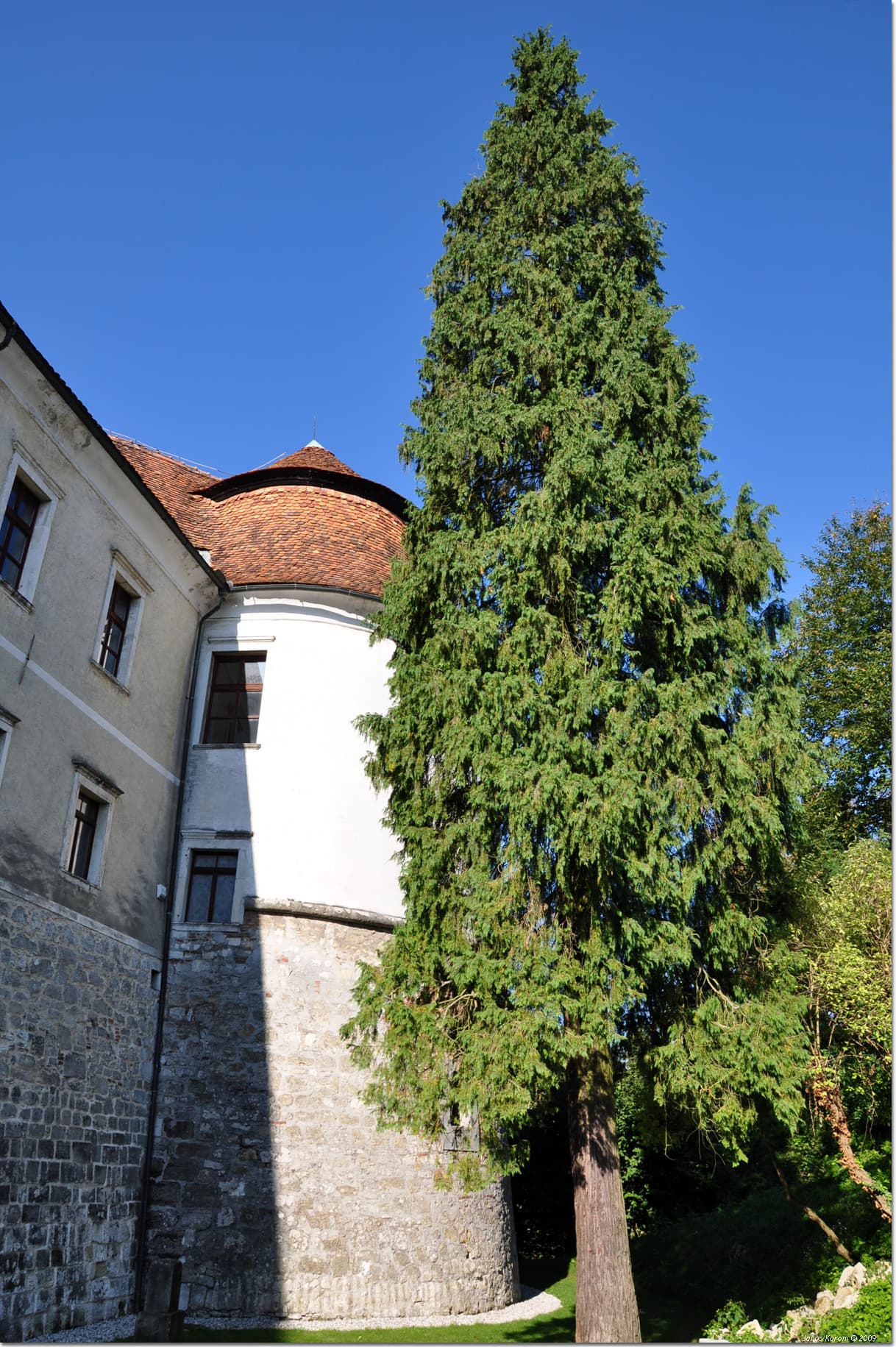 Brežice Castle