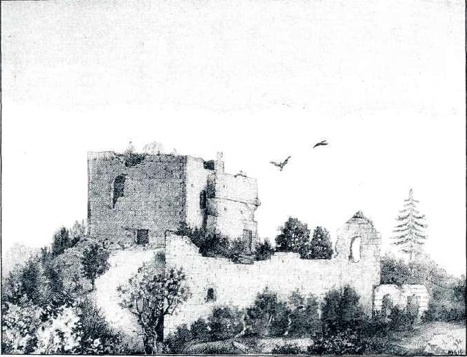 Višnja Gora Castle
