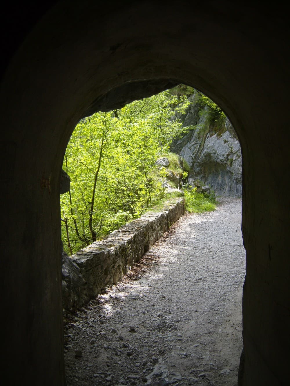Kluže