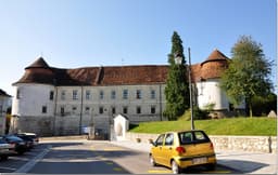 Brežice Castle