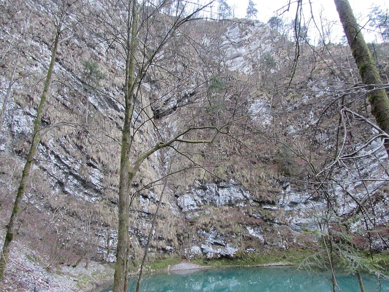 Divje jezero