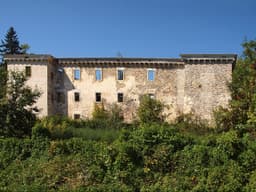 Brdo Castle