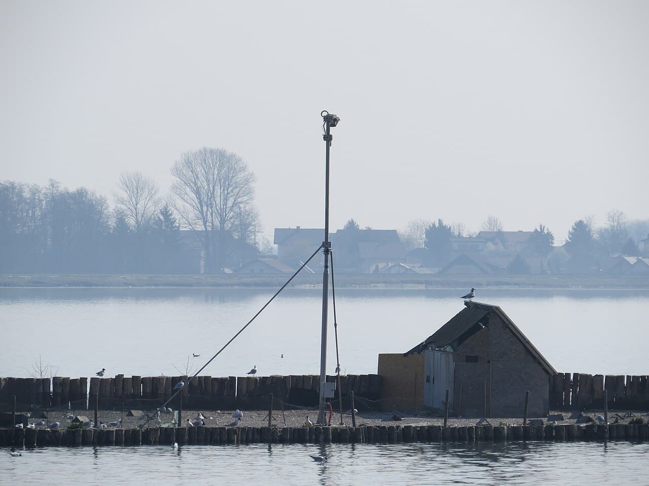 Ptujsko jezero