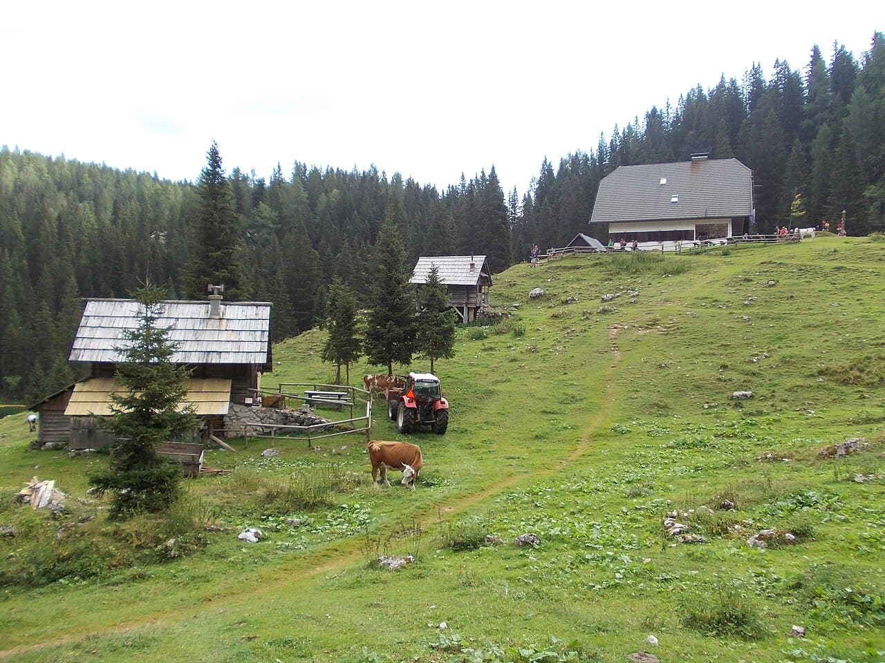 Jezero na Planini pri Jezeru