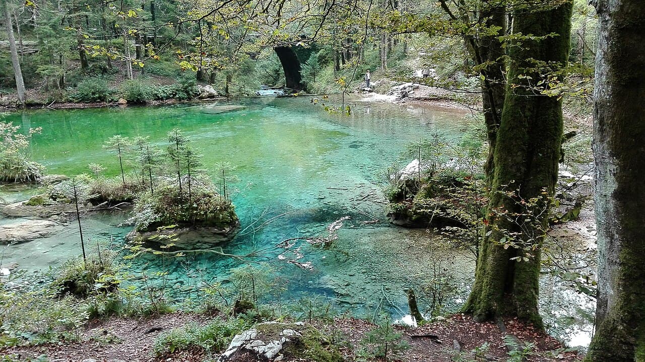 Divje jezero