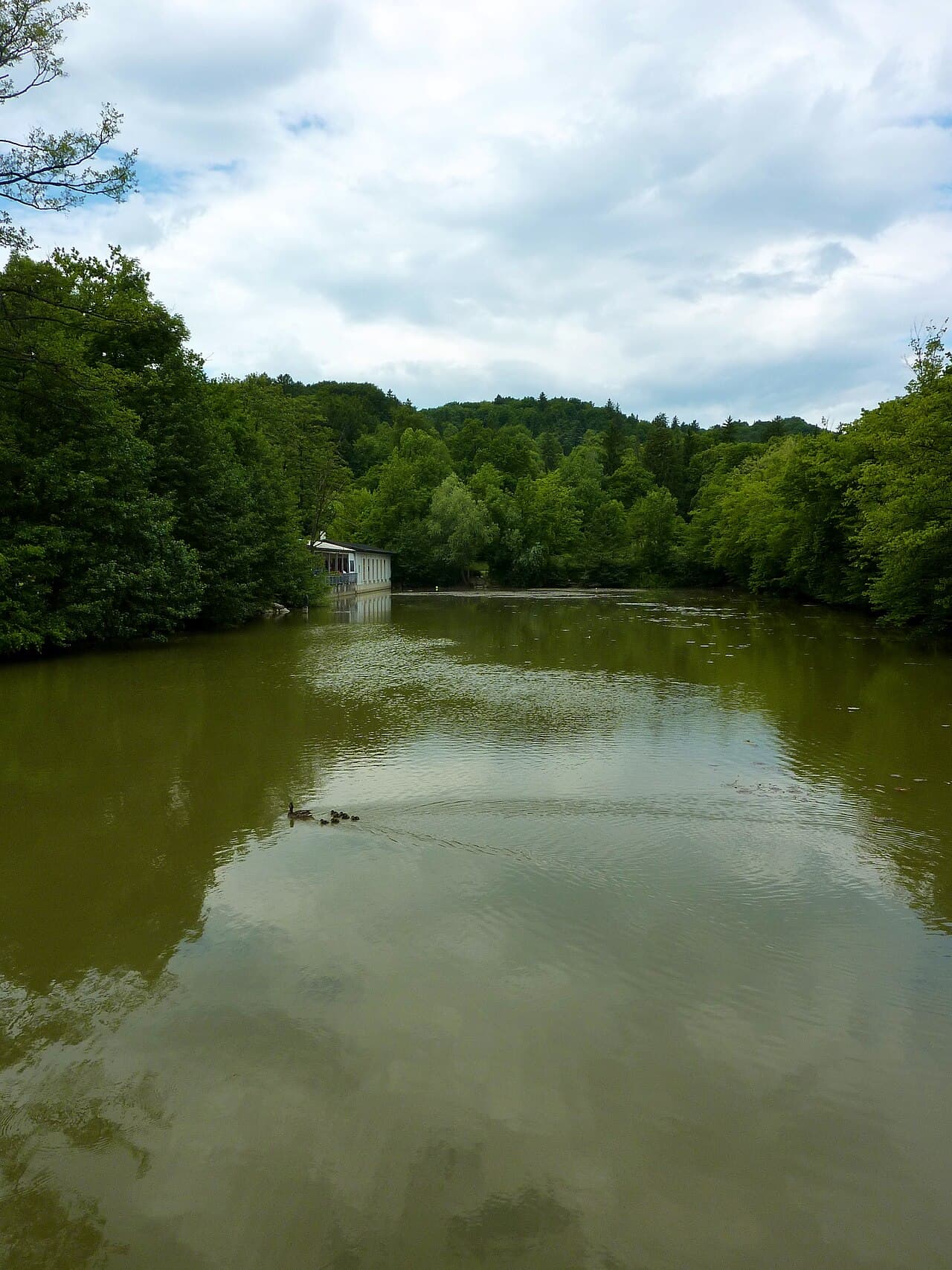 Tivoli Pond