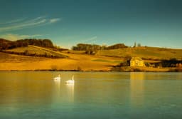 Lake Pernica