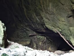 Weaver's Cave