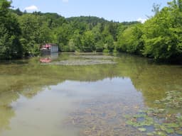 Tivoli Pond
