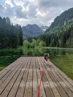 Planšarsko jezero