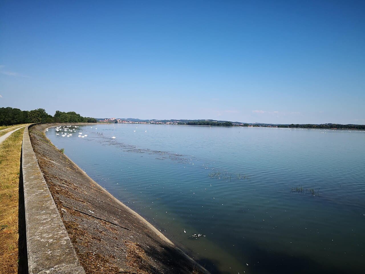 Ptujsko jezero