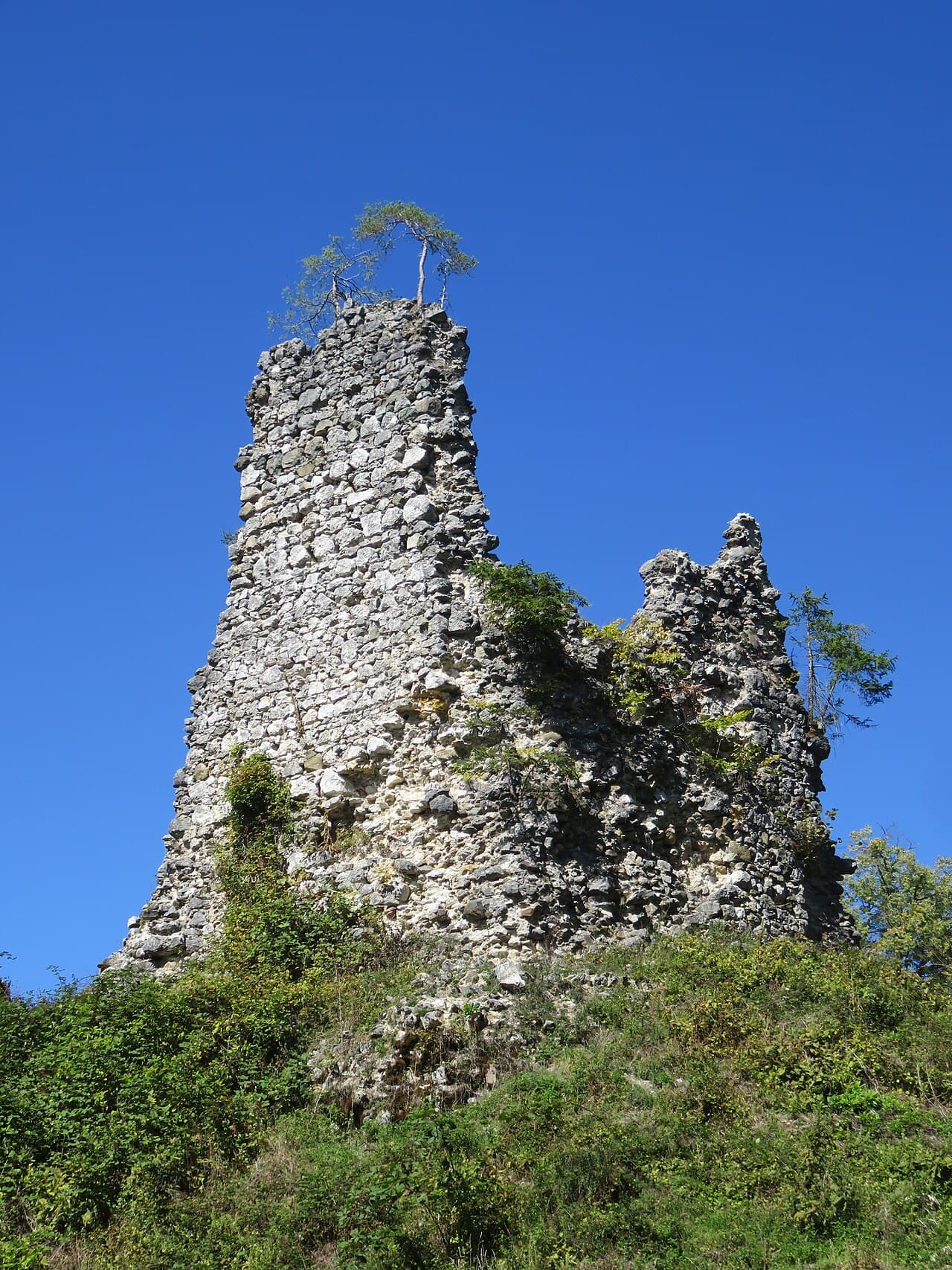 Lipnica Castle