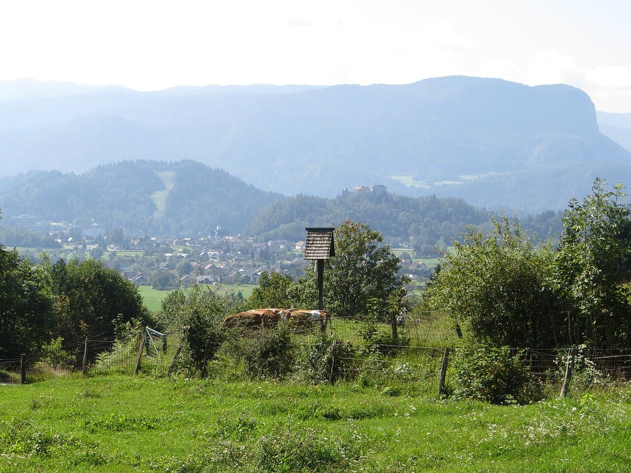 blejski grad