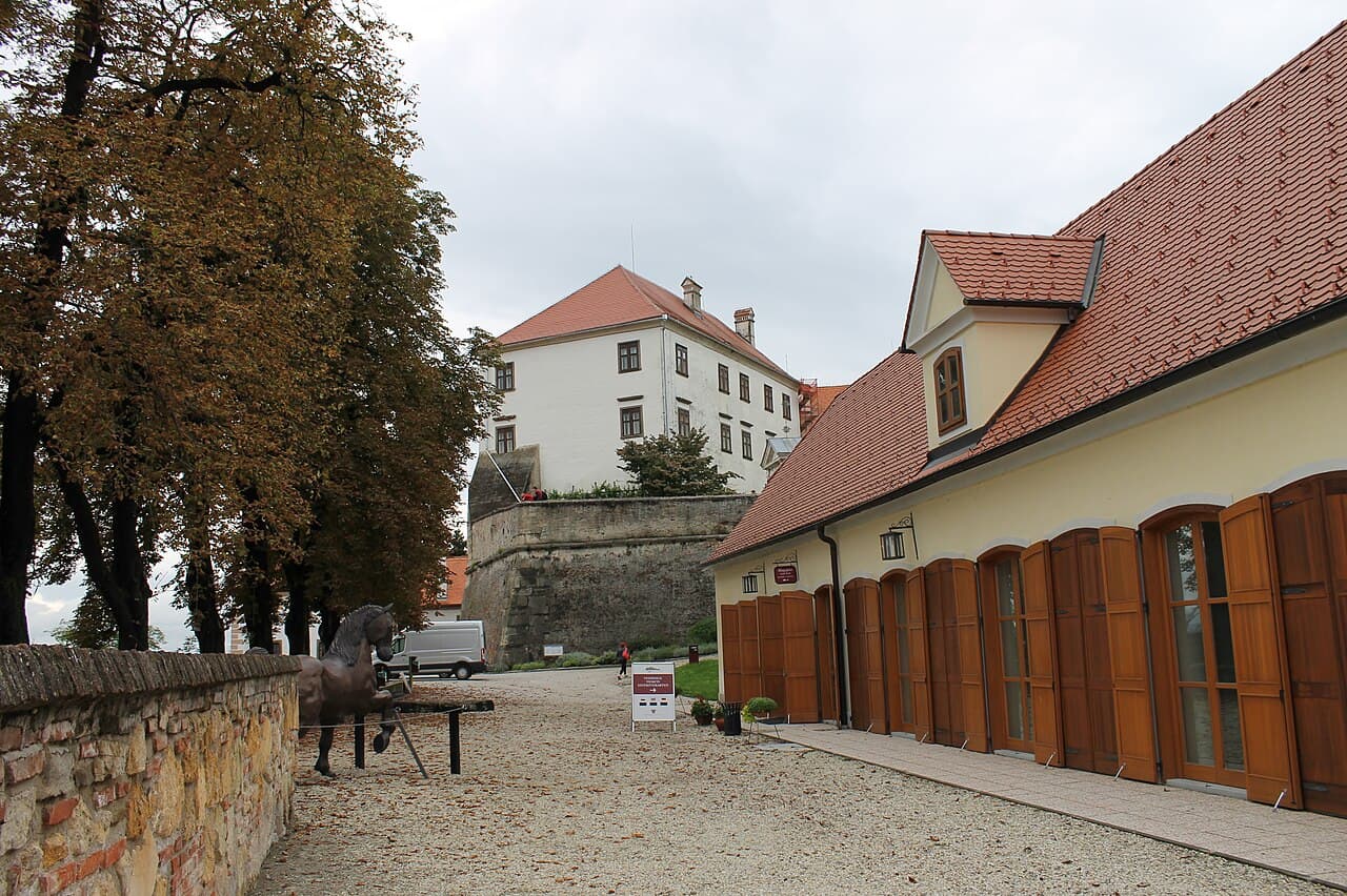 Grad Ptuj