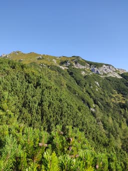 Viševnik